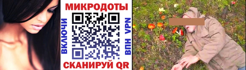 Галлюциногенные грибы GOLDEN TEACHER  кракен как зайти  Венёв 